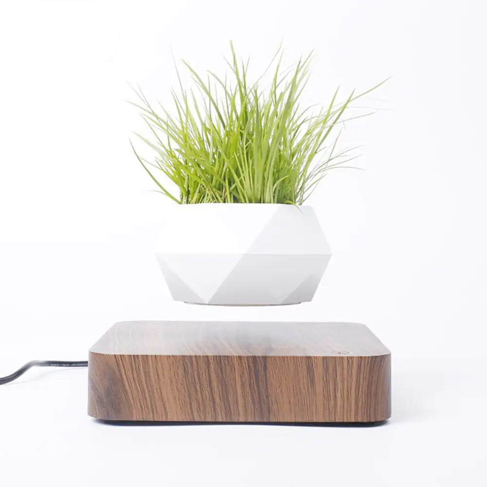 Levitating Air Bonsai Pot